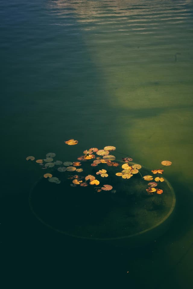 about image